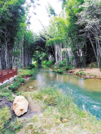 莲麻村,经过整治的河道流水潺潺.