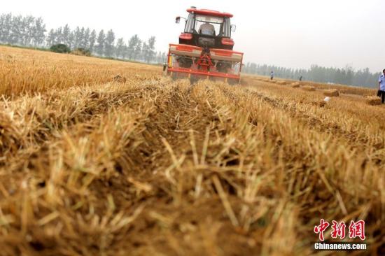 资料图：收割机进行机械化收割。<span target='_blank' href='http://www.chinanews.com/'>中新社</span>记者 王中举 摄